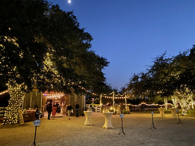 Tree Lights Outdoor Area Texas Rock House